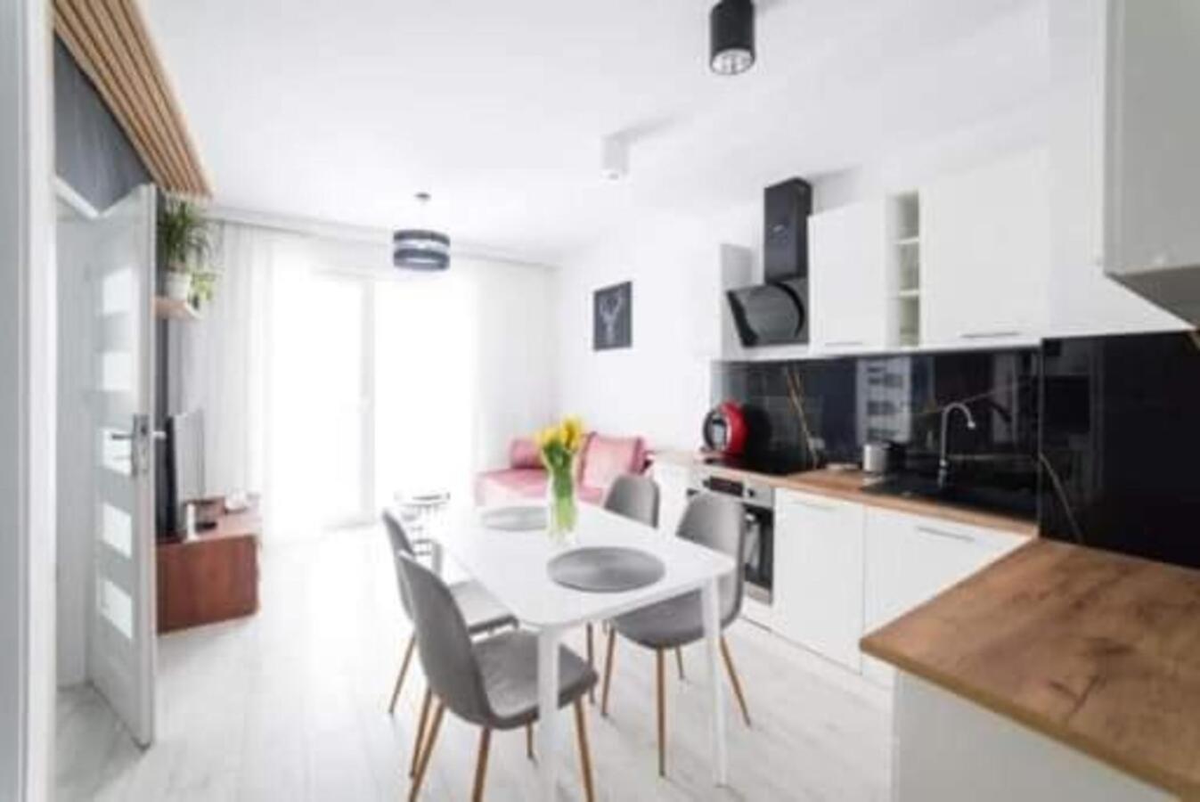 Apartament Nikola Danzig Exterior foto